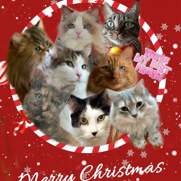 5e7468e3 97b8 4b08 bc76 a267540c575a 1671635422025