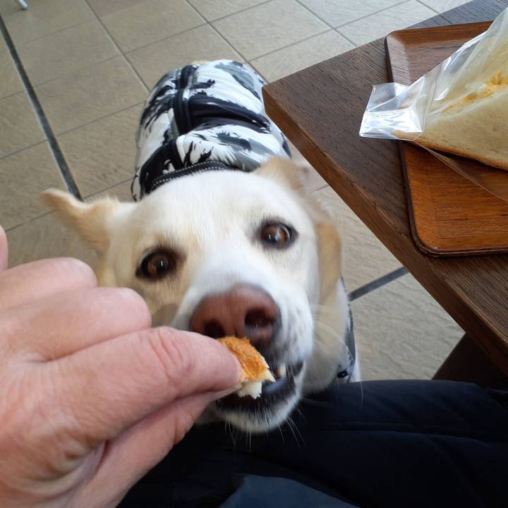 5e749213 2f50 4e44 8515 c79d6ad29ba0 1676770227669