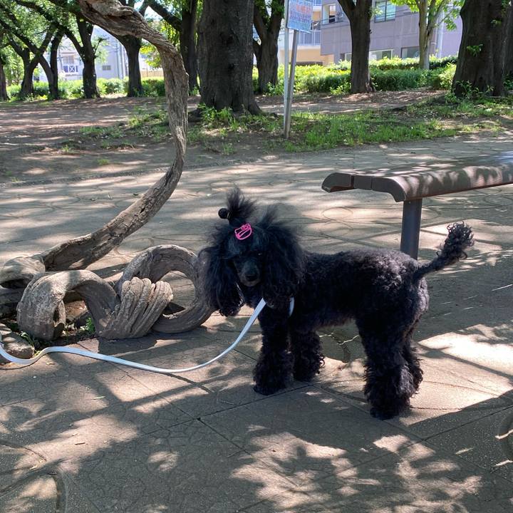 5e749808 ead5 49cc a3ac e173fc3e33ae 1683178140122