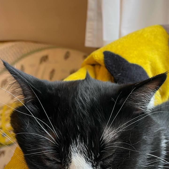 5e749921 2849 40de 9832 b533ca84b593 1653956126884