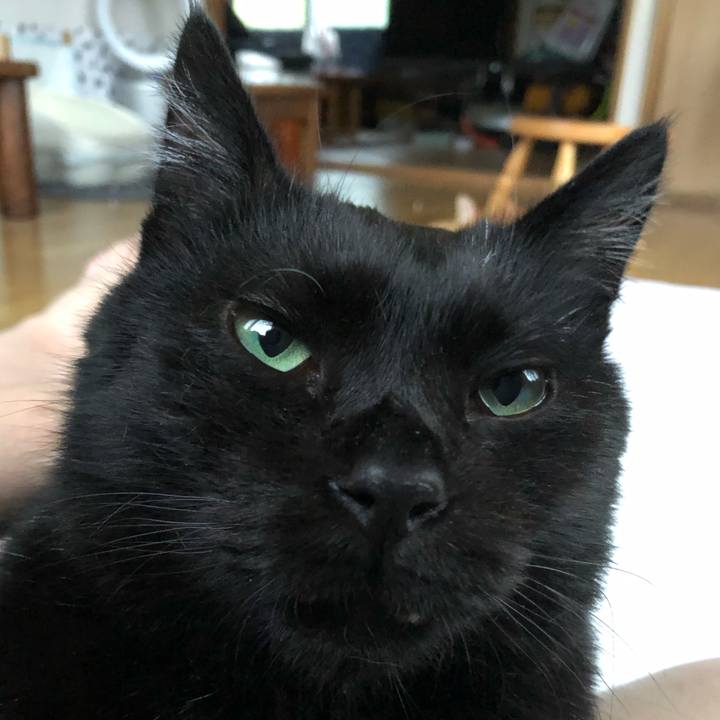 5e74b3b0 f2cd 447f a68d cff6ec502811 1562321746490