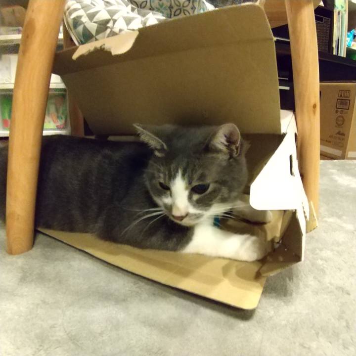 5e74c3bc d23b 4c55 b5d3 4c950f651b80 1600699055353