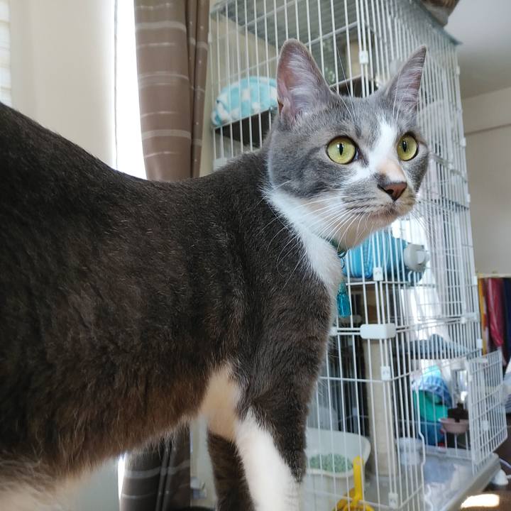 5e74d037 e66b 41aa 87df 7fe0b1c243c8 1593646071812