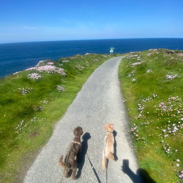 5e74db9f d227 45d9 8e48 fec3e2749875 1622391706915