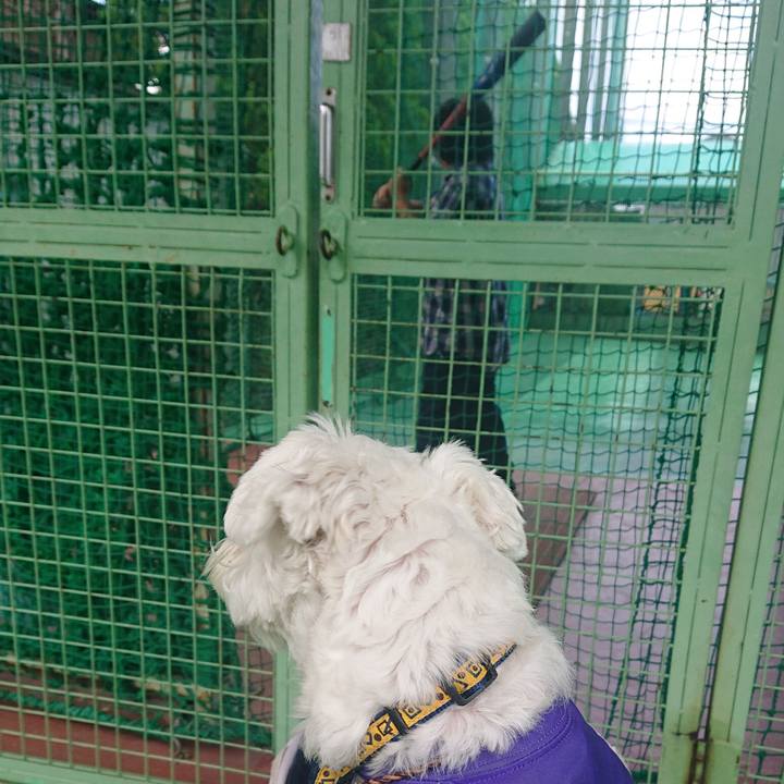 5e74f3e6 ddf5 4fec 9b83 34bf8b447ba7 1662468747560