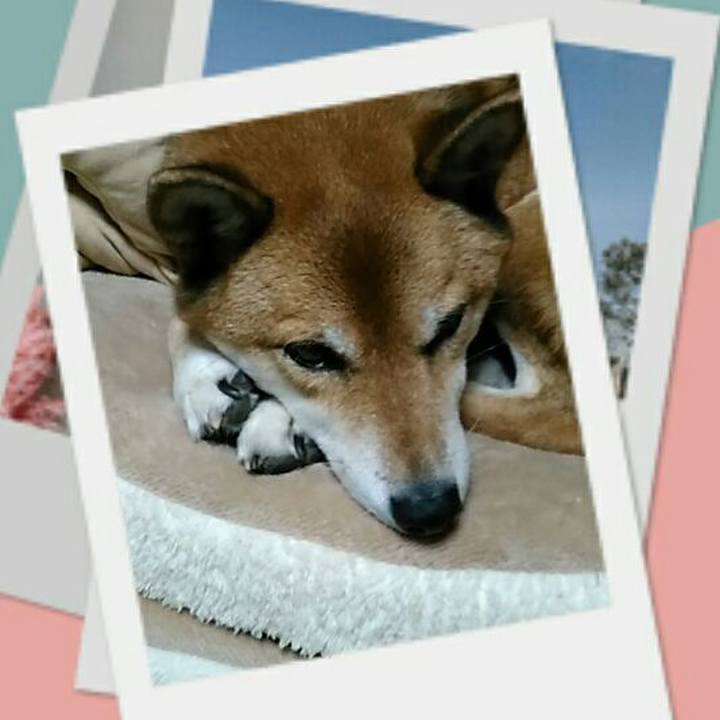 5e751880 c682 4441 aa78 dd8141f484ab 1572962359352