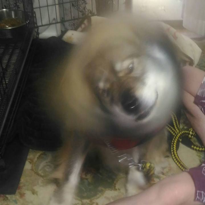 5e7521cb d494 4833 9f6e 3ccaecb828ad 1528264223904