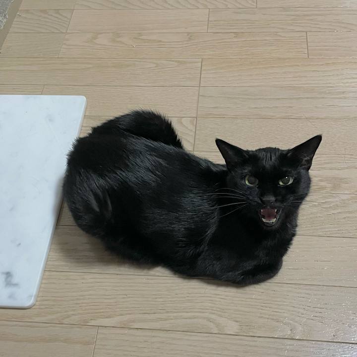 5e754861 7932 4686 afb5 af6708236cb2 1692610573210