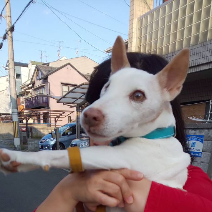 5e756633 892b 495f 9257 ef76f4d26753 1539905676937