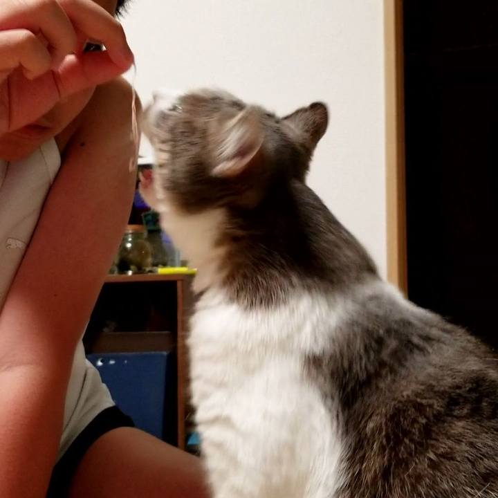 5e7581e6 7a77 4c78 b1ec 399ca98926e6 1606567748164