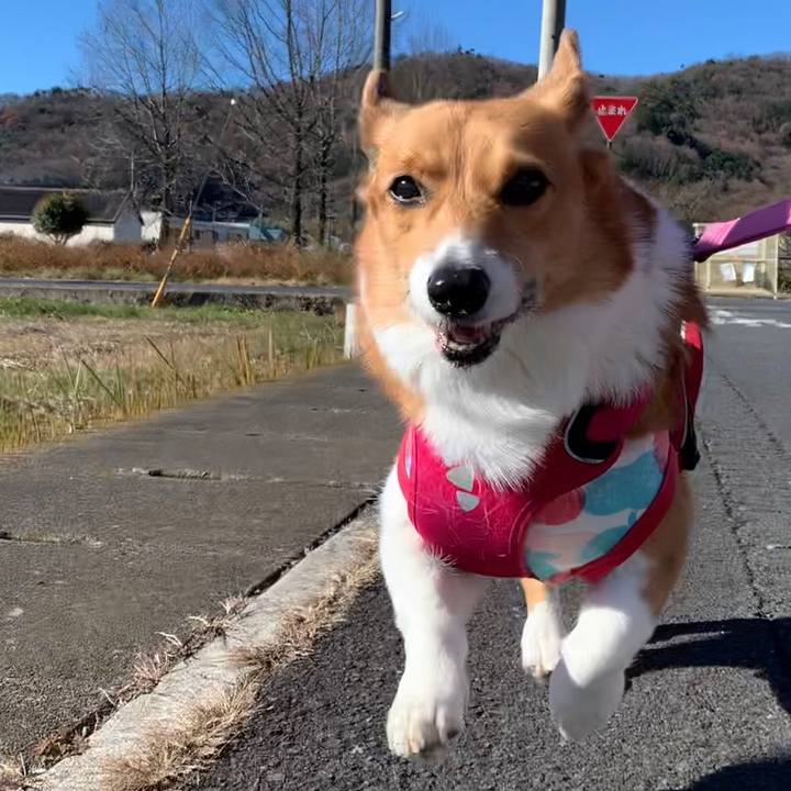 5e75e7c6 d3c0 430b bd53 176a3d309b3d 1672371802950