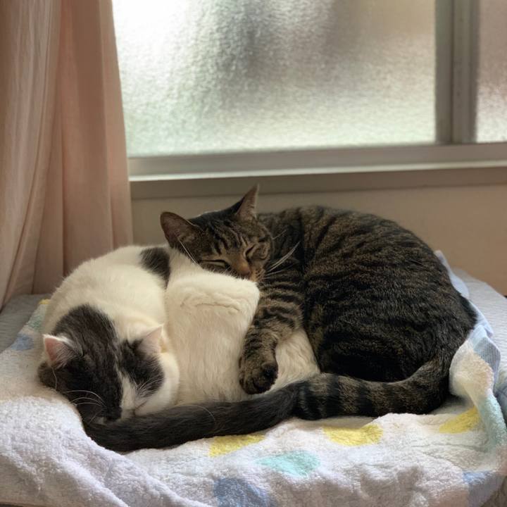 5e75e88c 579f 4f45 a9bf 402dffc6fd3f 1604922294941