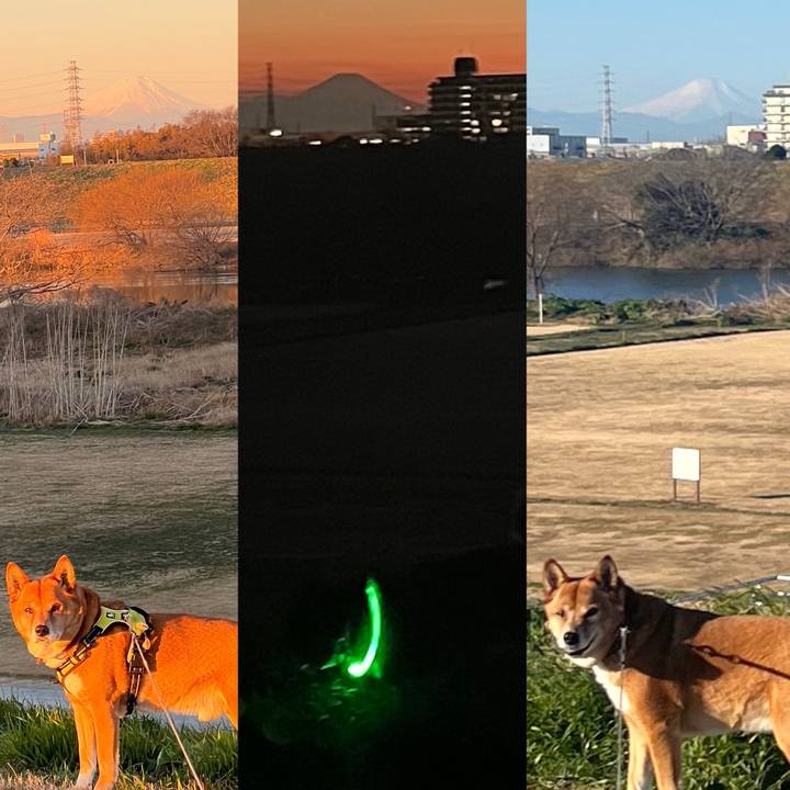 5e762c8e fba0 40d7 acb3 8d53a43d3814 1739235995784