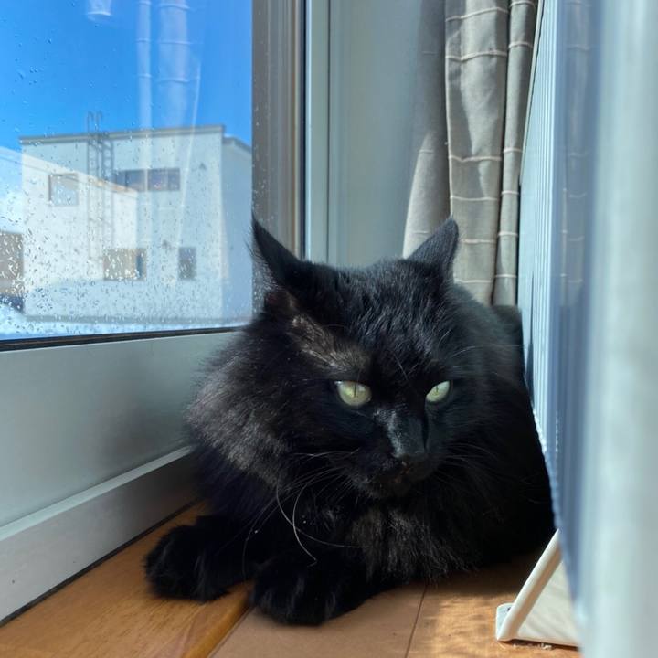 5e76721f a387 40ae 9472 6204f0beda93 1580742529978