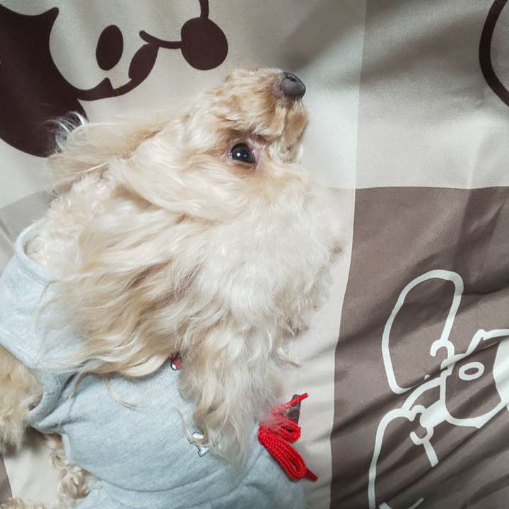 5e769056 bea4 4ead b404 8439079125e4 1575116481328