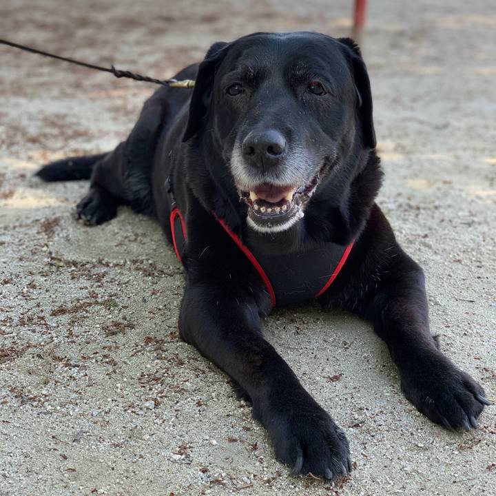 5e76a245 530e 4e67 a9b1 053a00ae9357 1557012911134