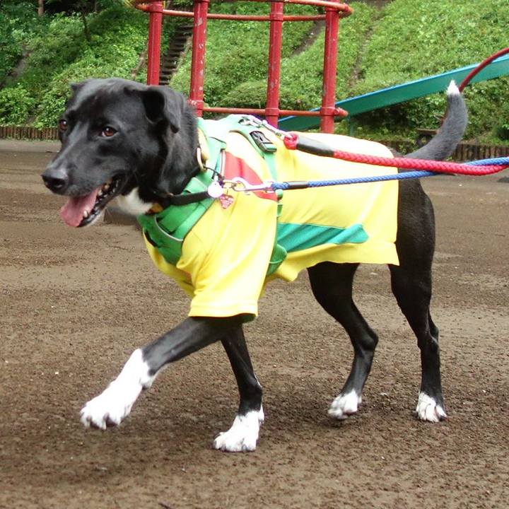 5e76d139 191b 4bb8 8fa5 06ae6bc0ddb4 1592092565825