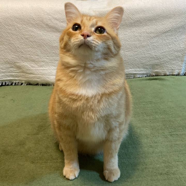 5e76dc0f a159 4026 bf42 9cdd16287027 1766498061659