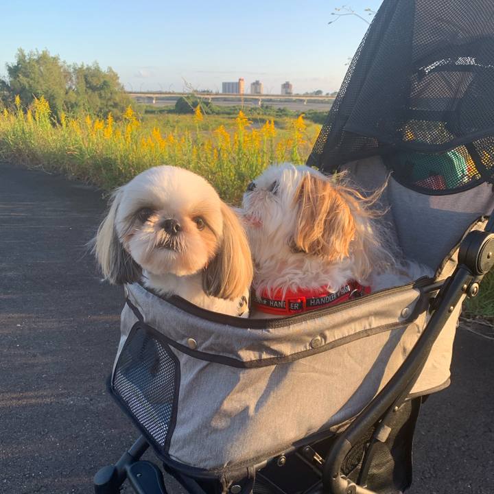 5e76dcb7 3193 4ff5 8f89 5ddc3a71227f 1633870314519