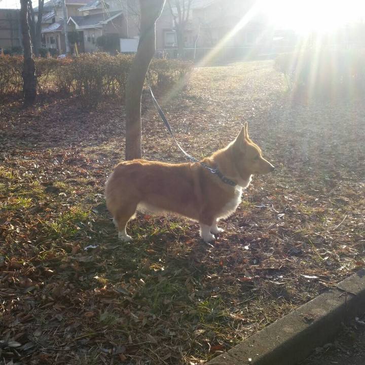 5e775625 61da 44fa 9987 4d0702c2bb3c 1508130161840