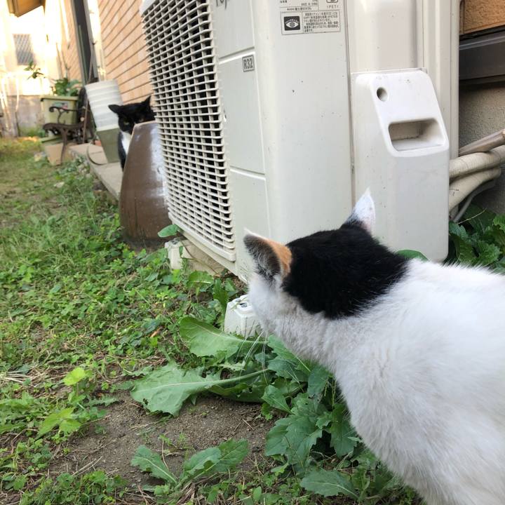 5e775a6c 9d97 4e25 bd4e 4bf212437d48 1601244987888