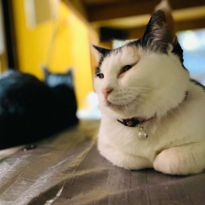 5e776d0b c45b 411f 85c0 b51331711d73 1651660065109