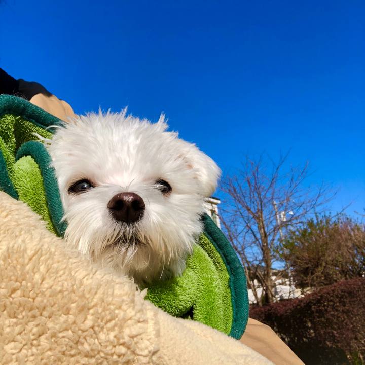 5e7773d2 b7a2 4901 ae49 96b550b131ae 1545718710673