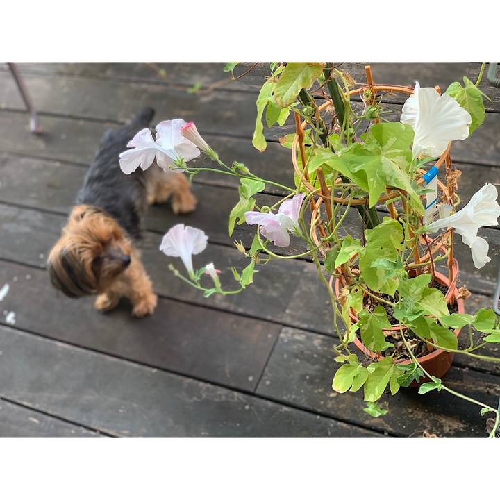 5e77971e 28b3 4f17 aef2 e09742409a8b 1597787548890