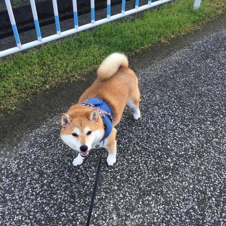 5e78285e f5b1 4fe1 bb11 4170121e4652 1541655350540