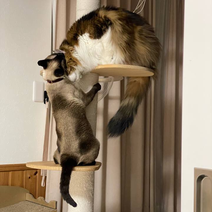 5e7835ed f3aa 46bd bff1 11256d17cbe3 1744490259913