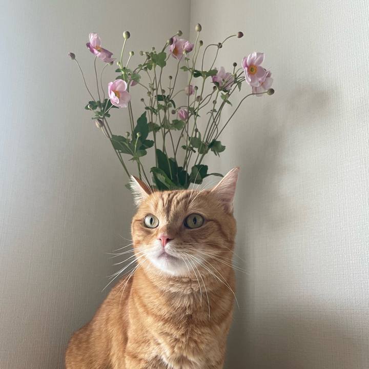 5e783622 ba76 4e5d a83b e33c6e80289b 1759150952189