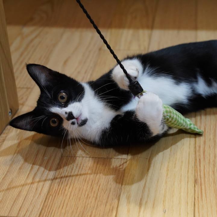 5e787f8f ea96 4722 9416 71309a7446f9 1572565741253