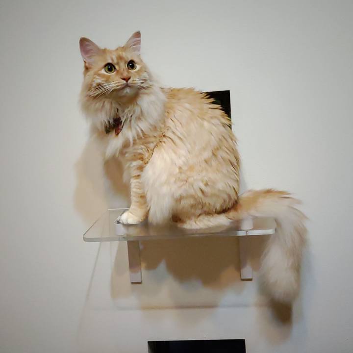 5e78869e d640 4808 80b4 2a604ec6c6c7 1653316604573