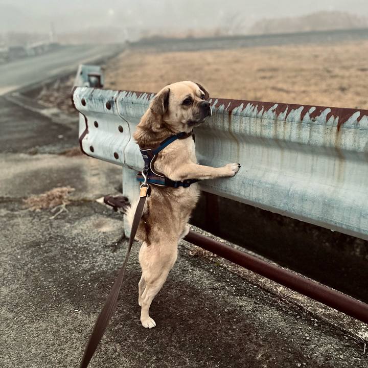 5e78ad15 08e1 4376 94ba 98ac29cc45c0 1771193014609