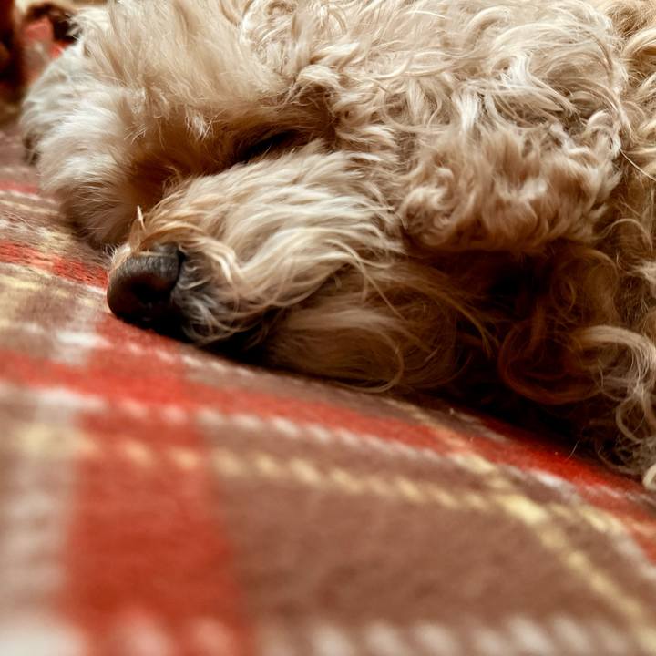 5e78b15c 9245 4233 ab4e 5e62a1db3ec0 1771371032552