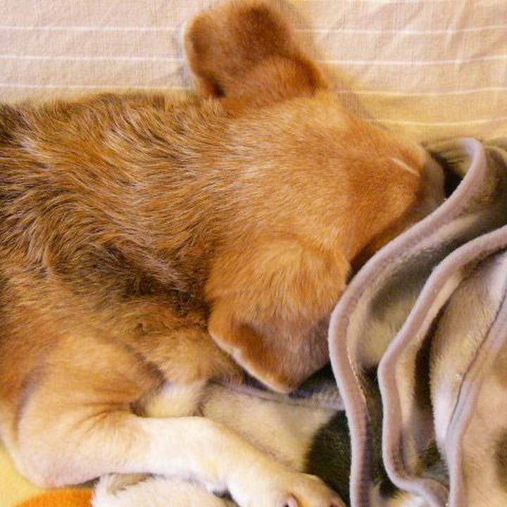 5e78b9ea 0d1f 4c5d 8f2d b6423b220425 1676337759679