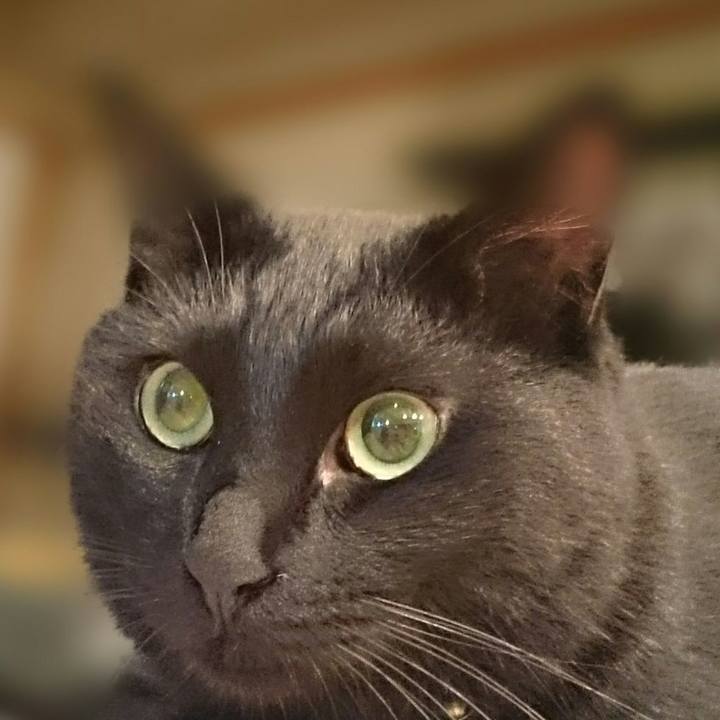 5e78c627 22f6 4359 b366 44c83047ecc8 1529505327797