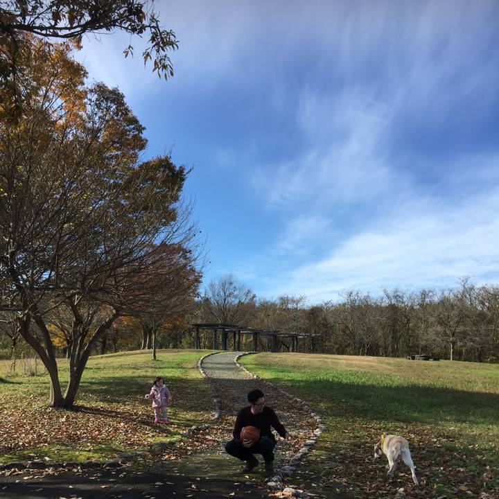 5e78edc1 8fdf 429a a8c4 08d73ad83d04 1551165840979