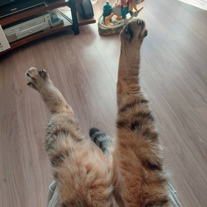 5e790493 2441 4a21 bb9e 5f88e8cf7b80 1768005230043