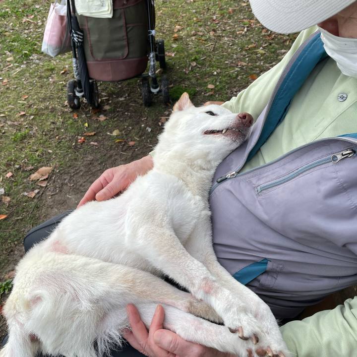 5e79240b b7c6 4f0c 975a 6484e7cf3519 1679566956755