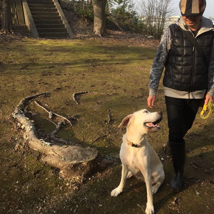 5e792e17 0e0d 4d4c 9536 b692c4485407 1548511167826