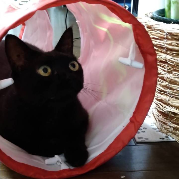 5e7932d2 2516 4a09 897f 4fb543a86dcc 1656584842057