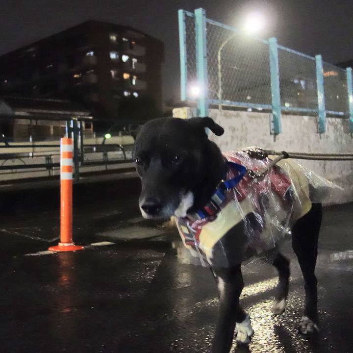 5e793797 153a 4e01 b5e5 23ae0c70760b 1644749649442