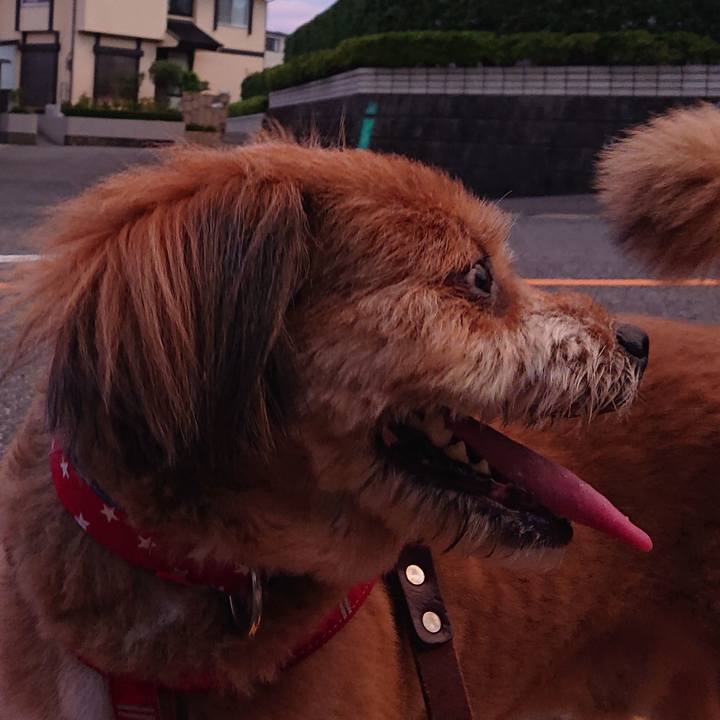 5e798c49 7173 4b24 959b d1c61932e2bf 1567852907764