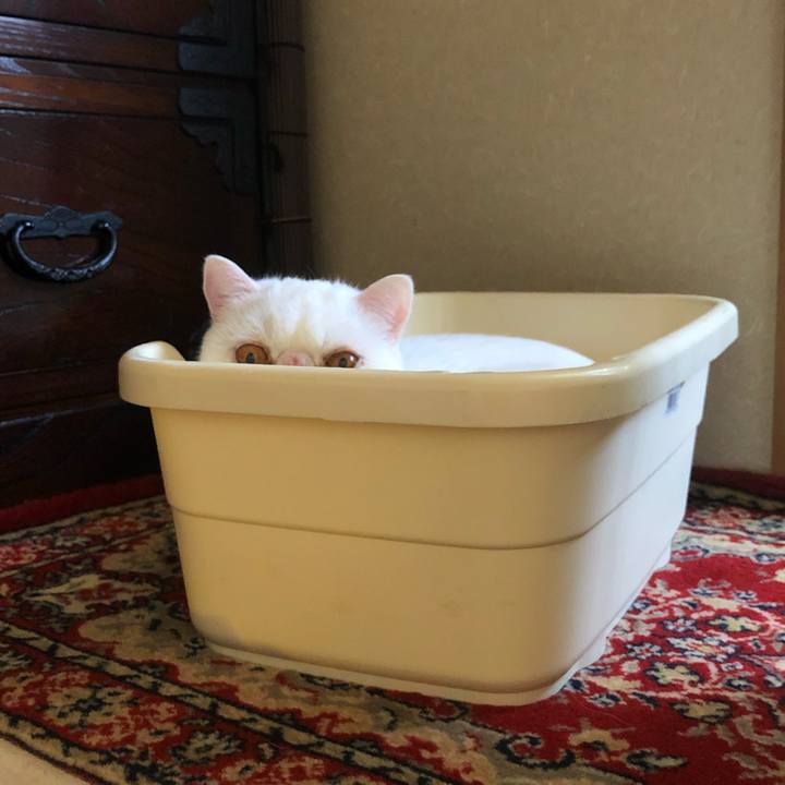 5e79904c 44da 4307 bc59 e6228a4b4179 1620520915996