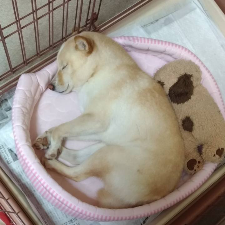 5e79cb3d 124f 46d6 b4cc 3be4e7014510 1589892411933