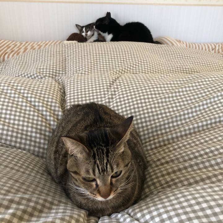 5e7a0b1b 578c 460a a3aa eaf205e5c25d 1608982372504