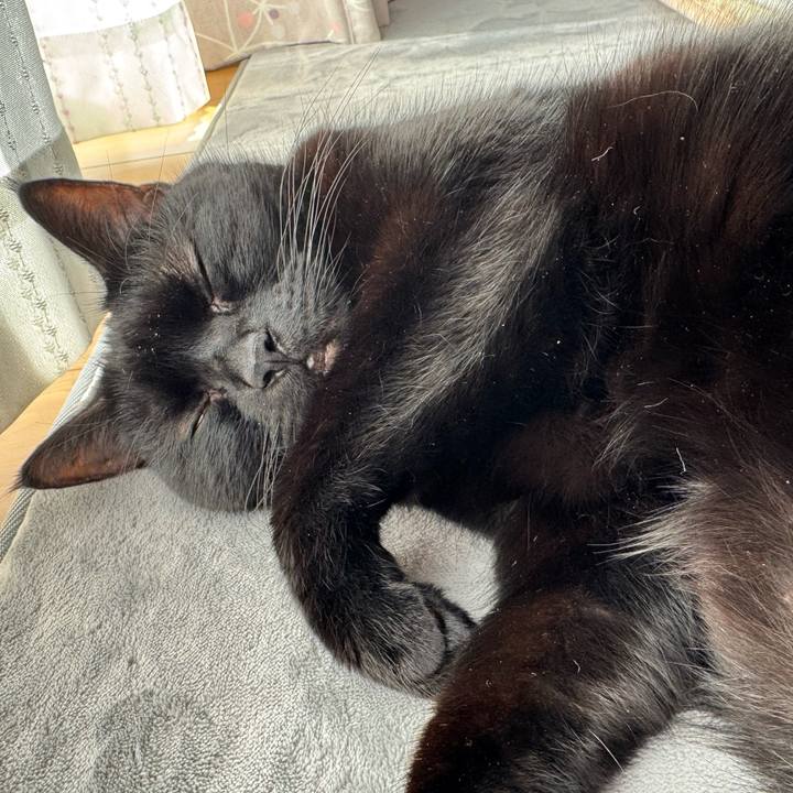 5e7a0bac 5108 48a0 b7b9 3f7096b22671 1765278886549