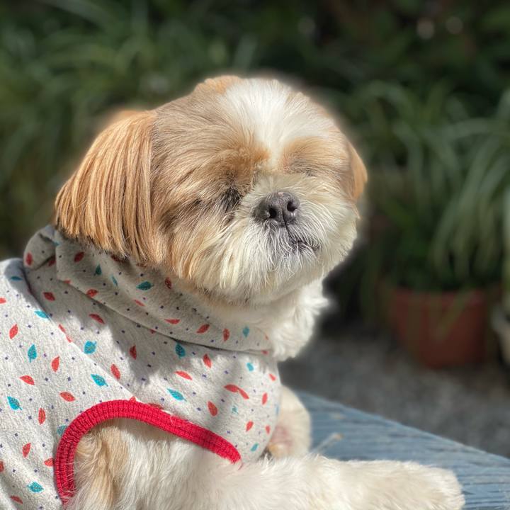 5e7a1261 0d27 49cd a122 ac0ca80ca855 1601610844195