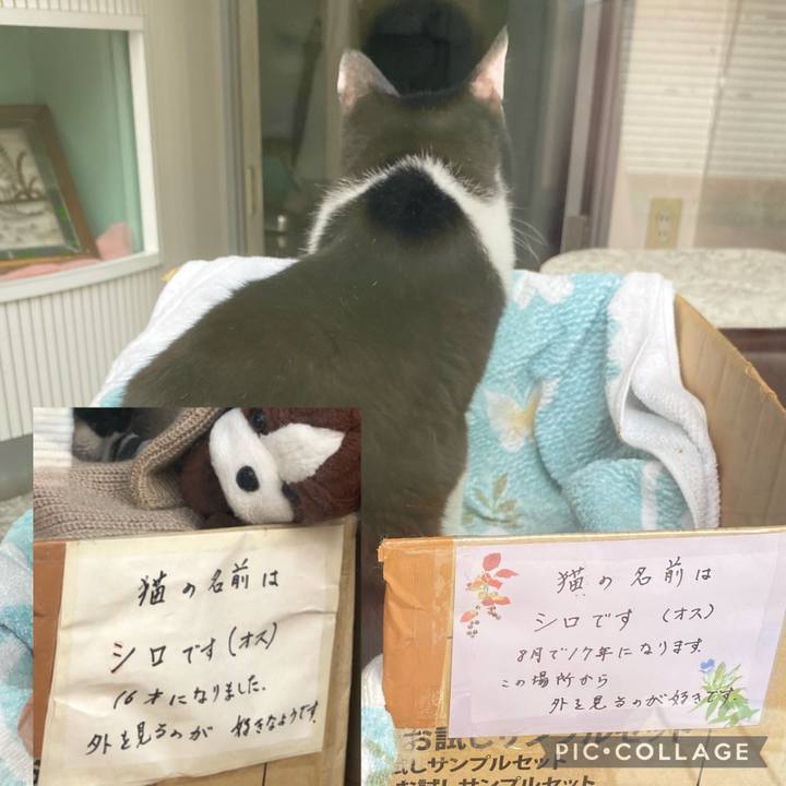 5e7a3735 ee18 4cbe b30b b38dc632f441 1659591653946